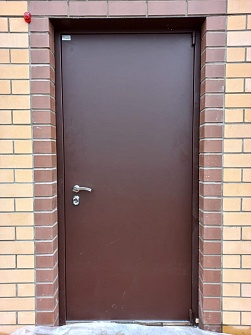 Глухая входная дверь с порошковым напылением для дома - пример №12 от компании Enter